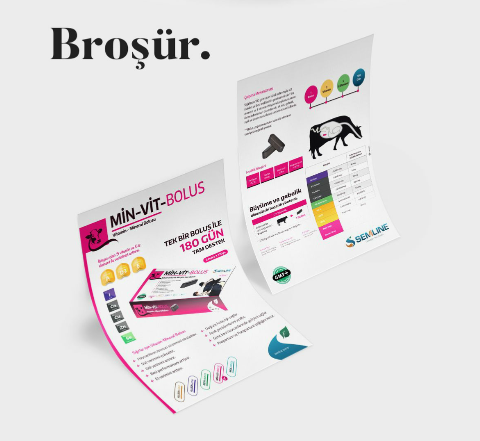 A5 EKO BROŞÜR FİYATLARI 